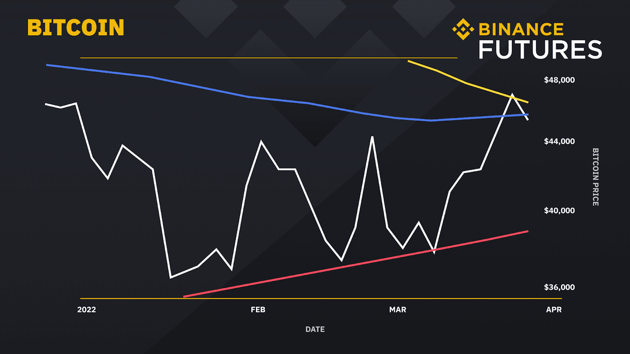 비트코인 가격 추이(흰색 곡선), 200일 이동평균선(빨간색 곡선), 100일 이동평균선(파란색 곡선), 50일 이동평균선(노란색 곡선). 출처=바이낸스 블로그
